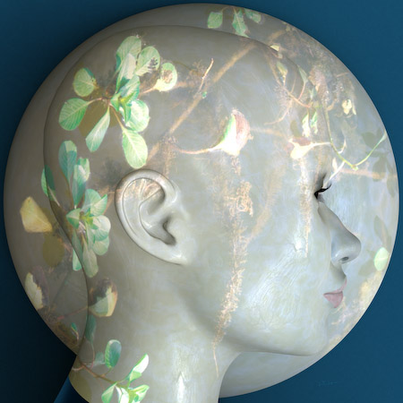 Cameo Aquatic