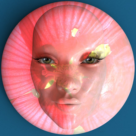 Cameo Hibiscus