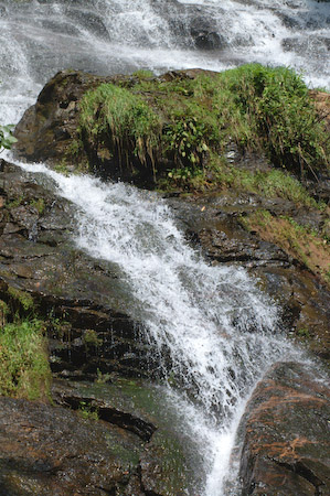 Cascade